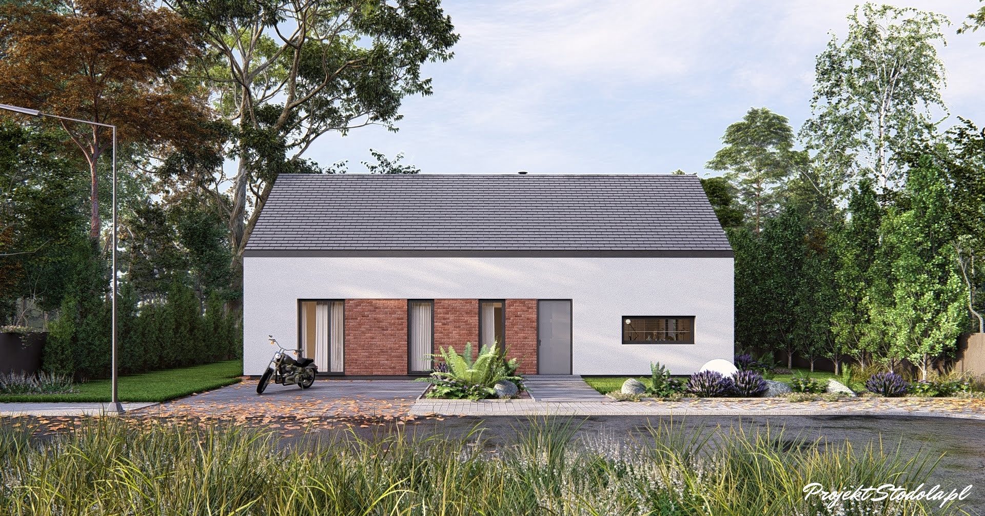 Projekt Stodoła Optimum 100 (1)