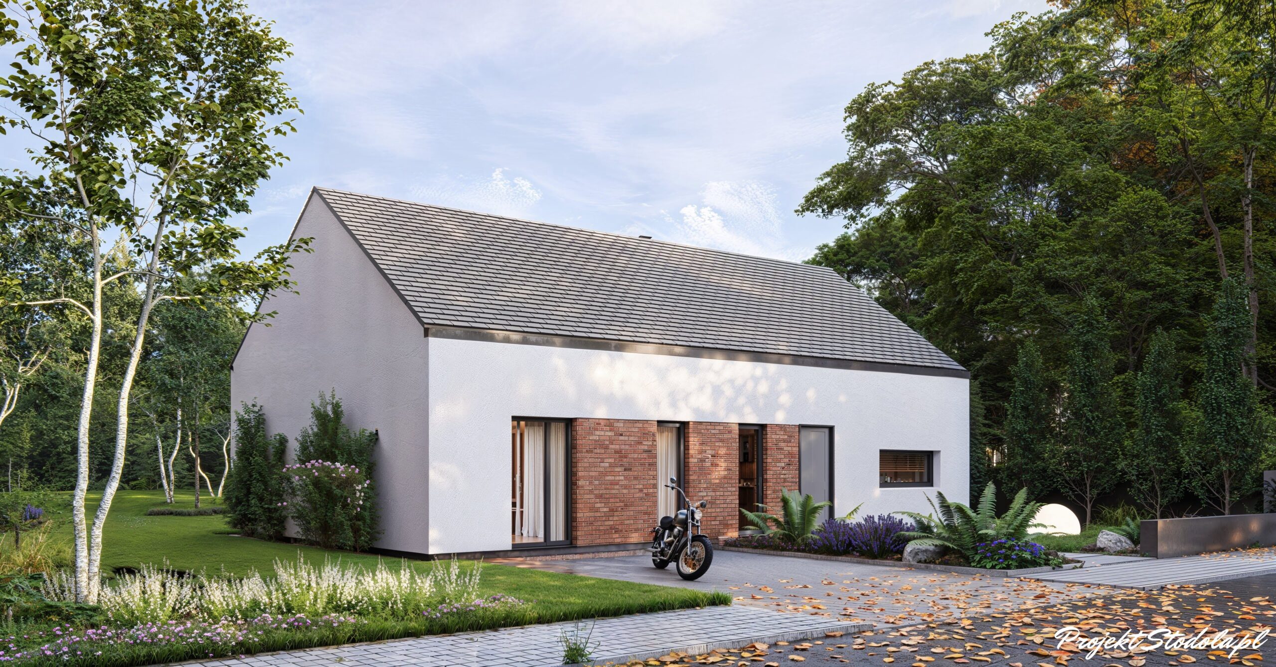 widok od ulicy optimum100